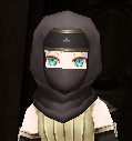 Ninja Hat