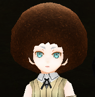 Afro Wig