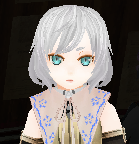 Blue Detachable Collar