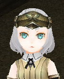 Forehead Protector