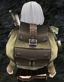 Knapsack