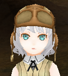 Leather Helmet