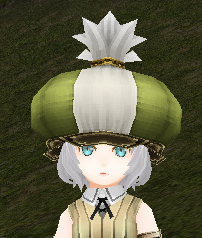 Market Hat
