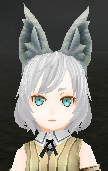 Dog Ears