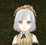 Flower Headband
