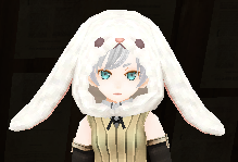 Fluffy Rabbit Hood