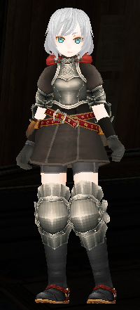 Knight Armor