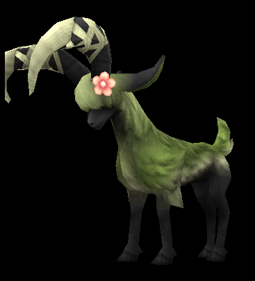 Antelope