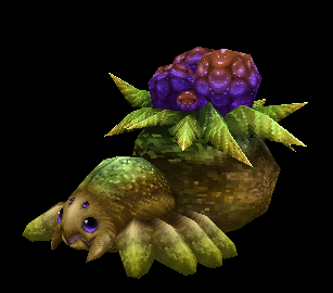 Berry Pomum