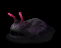 Black Jelly