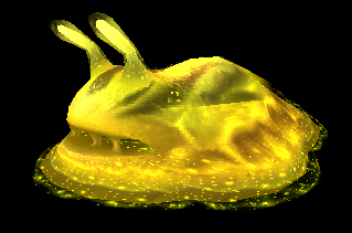 Gold Jelly