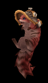 Helmcoon