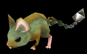 Murin