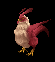 Pojo