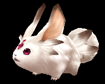 Rabby
